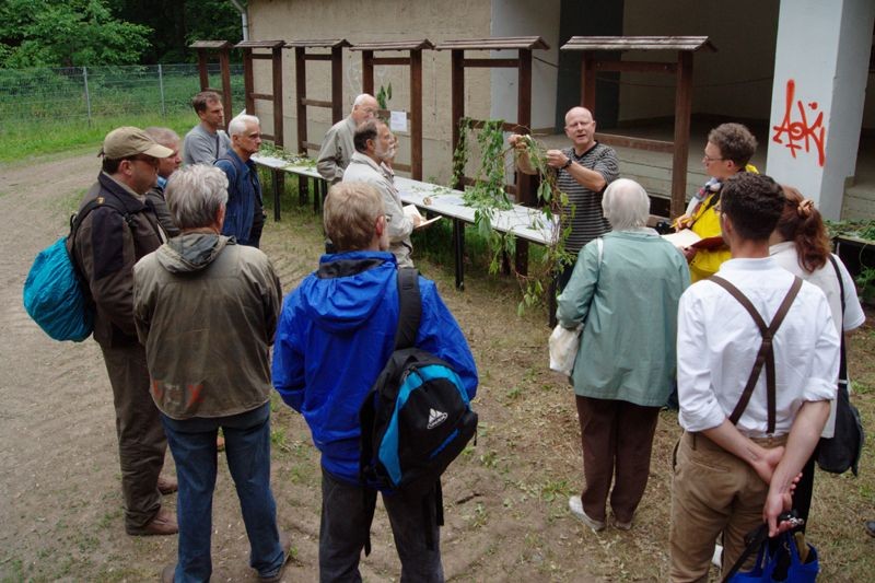 Vor der Exkursion durch die 'Burgaue' stellte Dr. Peter Otto (Universität Leipzig) den Teilnehmern einige Pflanzen vor, die man im Auwald finden kann. Foto: René Sievert