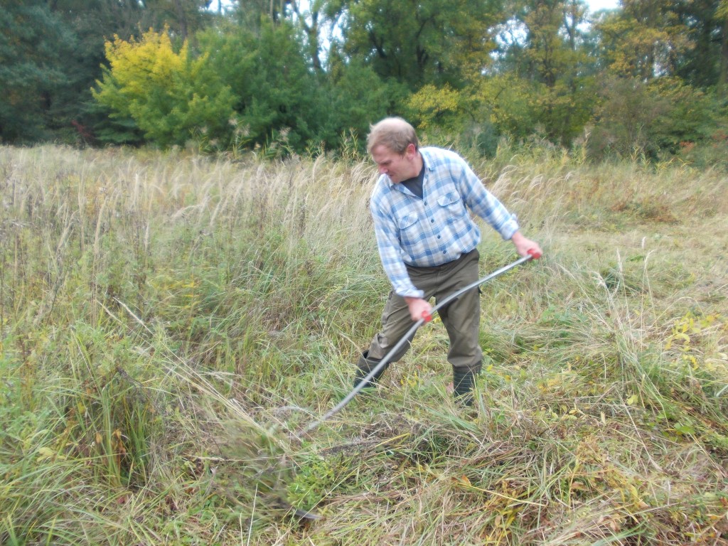 und Handsensen </p>Foto: René Sievert