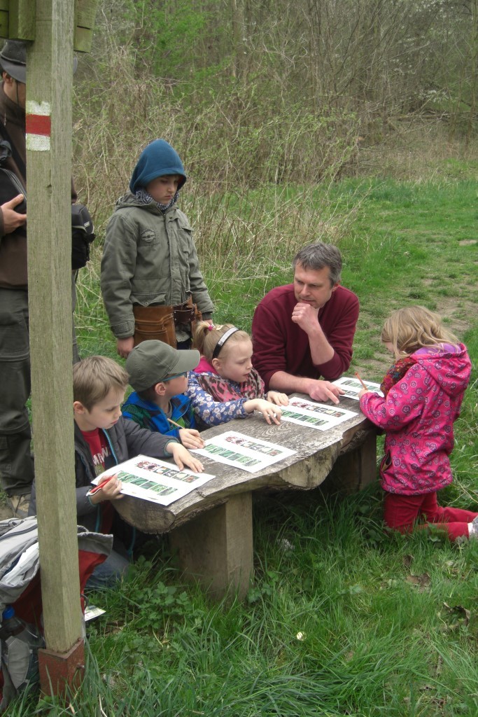 Beim Quiz mit Bestimmungsübungen zu Spechten, Schmetterlingen und ihren Raupen konnten die Kinder viel über die heimische Tierwelt lernen.