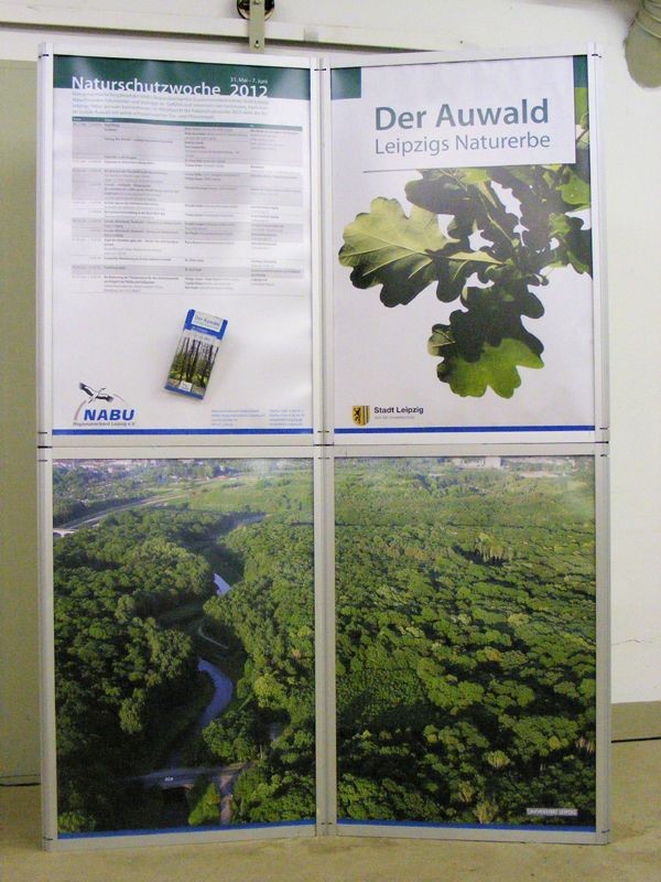 Im Mittelpunkt der Naturschutzwoche 2012 stand der Auwald, Leipzigs bedeutendstes Naturerbe. Foto: Matthias Fitzke