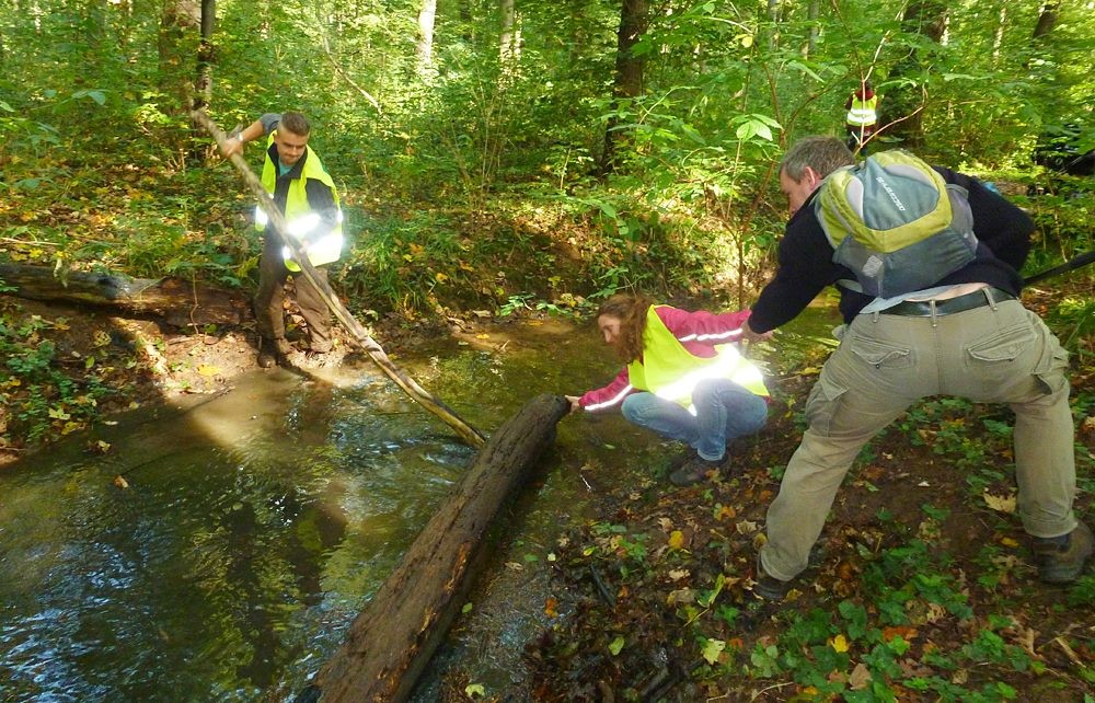 Teamwork beim Arbeitseinsatz