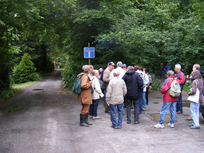 021 - Der Botaniker Dr. Peter Gutte führte am Dienstag eine Exkursion durch den südlichen Auwald. Foto: Matthias Fitzke