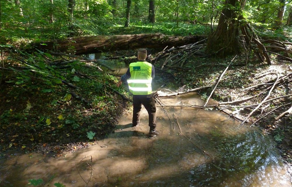 Naturtäter im Burgauenbach