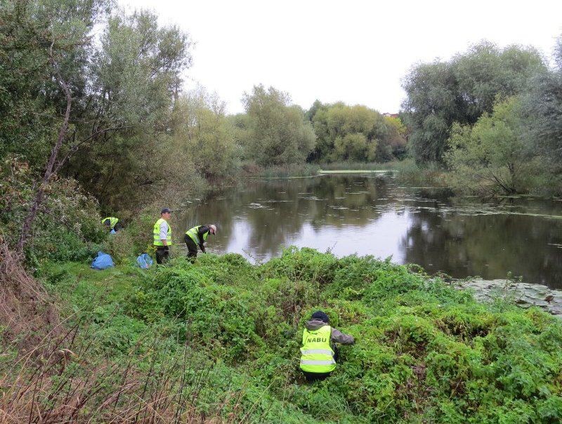 Um das Hochwasserschutzbecken Sellerhausen als Amphibiengewässer zu erhalten, hatte der NABU Leipzig zur Müllsammelaktion eingeladen.