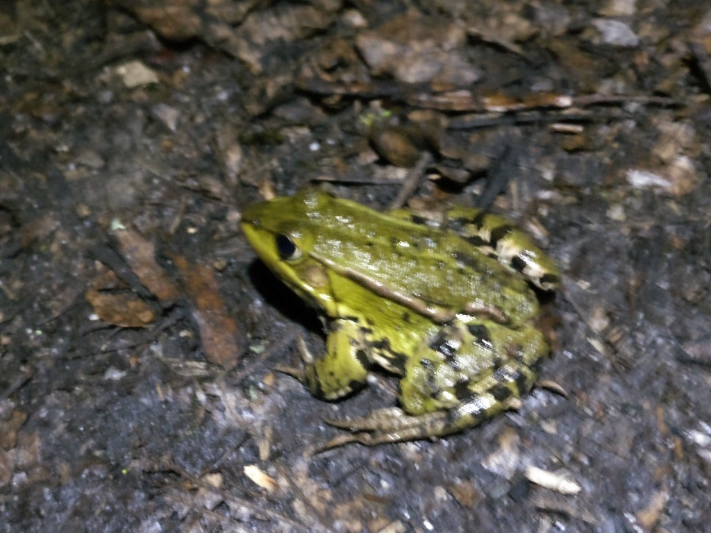 Foto: Claus Reinhardt