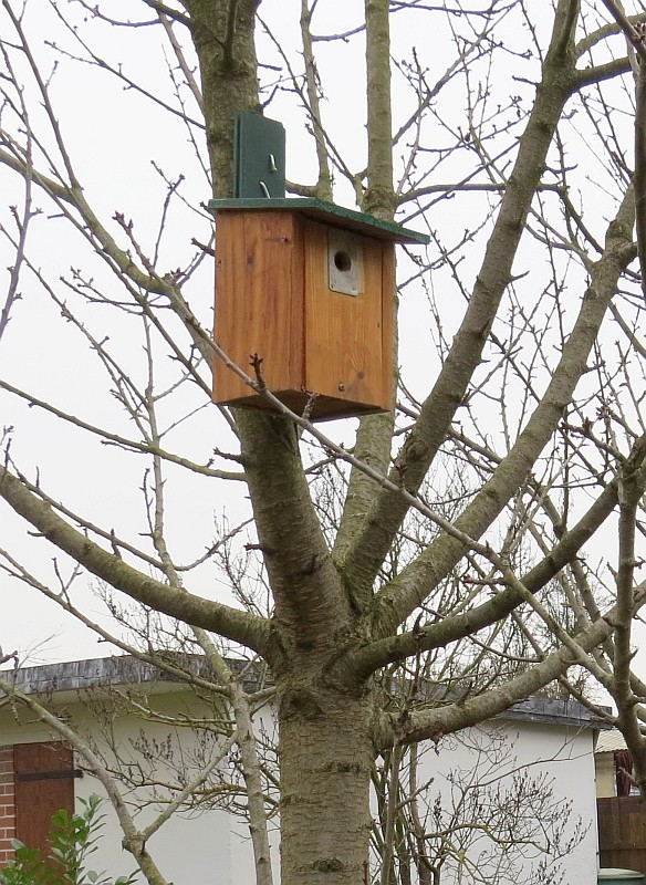 Familie Feldsperling findet hier ein Zuhause.