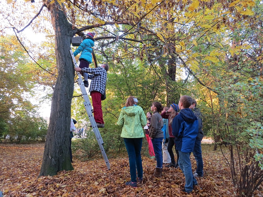 Nistkastenreinigung im Clara-Zetkin-Park.</p>Foto: Karsten Peterlein
