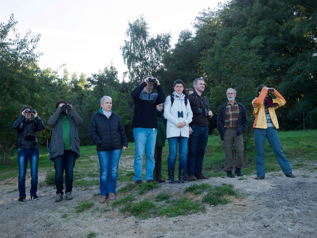 12 Vogelfreunde waren mit Karsten Peterlein (3.v.r.) vom NABU Leipzig zur Zugvogelbeobachtung unterwegs.</p>Foto: Dr. Fabian Haas