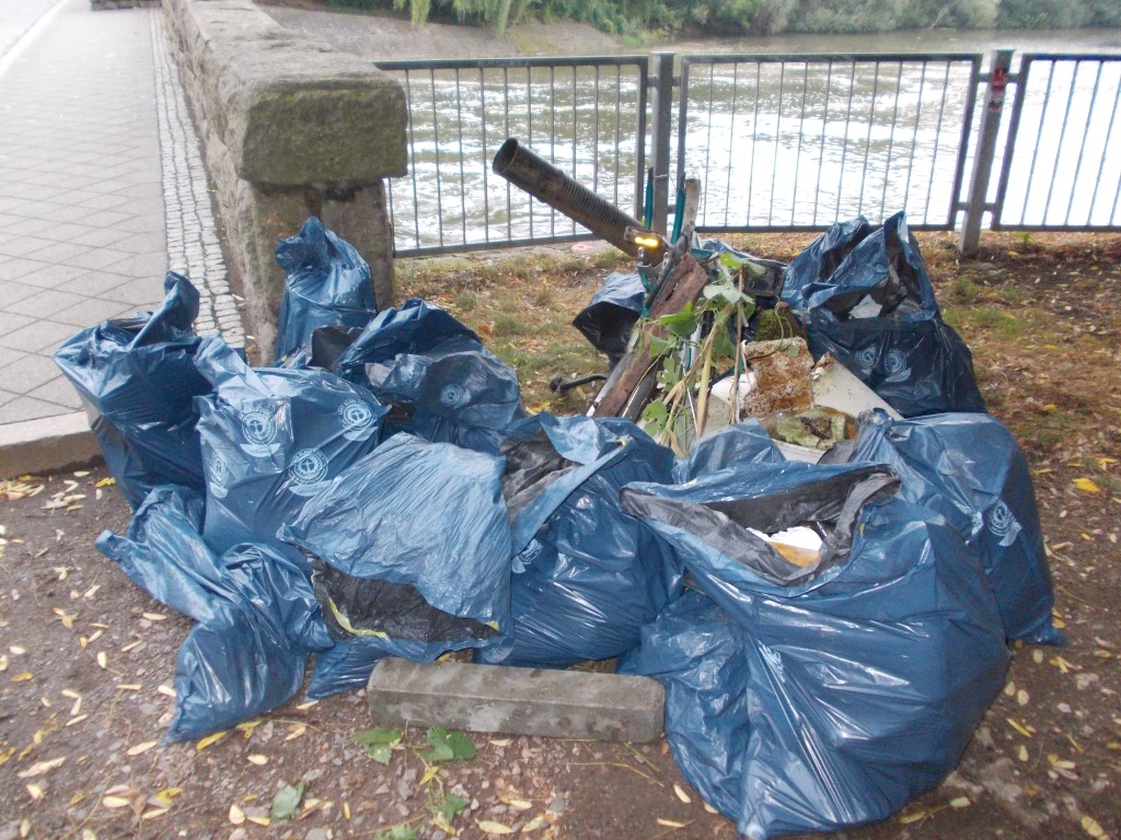 Am Ende kam ein großer Müllhaufen zusammen, der von der Stadtreinigung abgeholt wird.</p>Foto: René Sievert