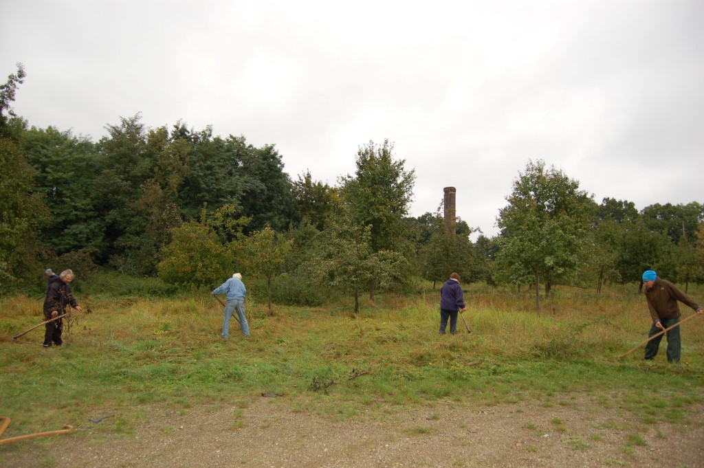 Auch die Störche werden dann bestimmt wieder ihr Nest auf der NABU-Wiese nutzen.