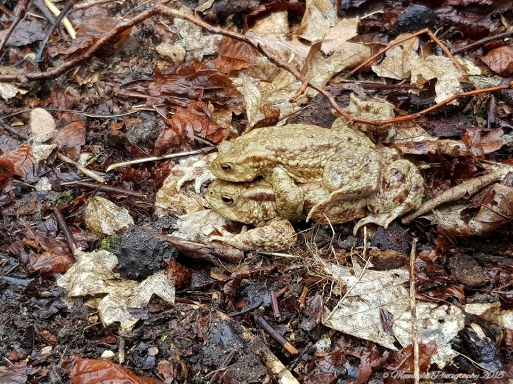 Foto: Maria Monika Oette 