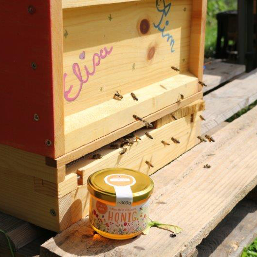Ein Bienenkasten und zwei Gläser selbstgeimkerter Honig aus dem Garten des Gasthofs "Zum Hohen Lohr" in Battenhausen im Naturpark Kellerwald-Edersee in der nordhessischen Grimmheimat
