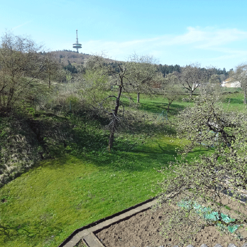 Blick auf den Berg "Hohes Lohr" mit Fernsehturm aus dem Gemüsegarten des Gasthofs "Zum Hohen Lohr" in Battenhausen; landschaftlich schön gelegen im Naturpark Kellerwald-Edersee in der nordhessischen Grimmheimat
