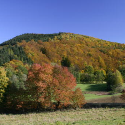Blick auf die sanften Hügel des Kellerwaldsteigs in der Nähe des Gasthofs "Zum Hohen Lohr" in Battenhausen; landschaftlich schön gelegen im Naturpark Kellerwald-Edersee in der nordhessischen Grimmheimat