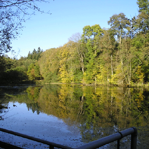 Einladender Badesee in der Nähe des Gasthofs "Zum Hohen Lohr" in Battenhausen; landschaftlich schön gelegen im Naturpark Kellerwald-Edersee in der nordhessischen Grimmheimat