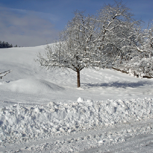 Winterliche Landschaft in der Nähe des Gasthofs "Zum Hohen Lohr" in Battenhausen; landschaftlich schön gelegen im Naturpark Kellerwald-Edersee in der nordhessischen Grimmheimat