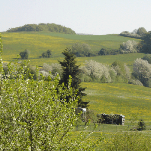 sanfte Hügellandschaft in der Nähe des Gasthofs "Zum Hohen Lohr" in Battenhausen; landschaftlich schön gelegen im Naturpark Kellerwald-Edersee in der nordhessischen Grimmheimat