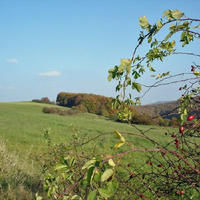 Blick auf die sanften Hügel  des Kellerwaldsteigs in der Nähe des Gasthofs "Zum Hohen Lohr" in Battenhausen; landschaftlich schön gelegen im Naturpark Kellerwald-Edersee in der nordhessischen Grimmheimat