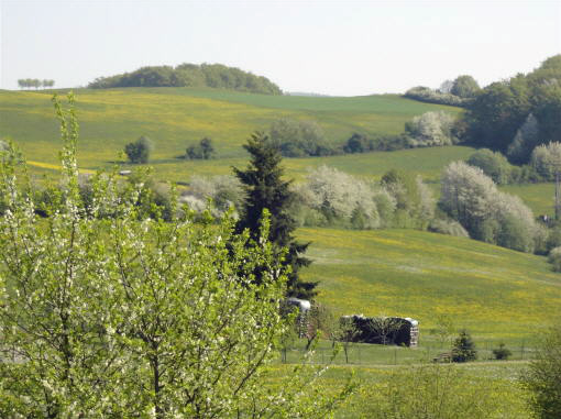 Blick in die Landschaft von Battenhausen im Naturpark Kellerwald/Edersee in der nordhessischen Grimmheimat, wo der Gasthof "Zum Hohen Lohr" liegt