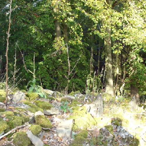 Mountainbikestrecke in der Nähe des Gasthofs "Zum Hohen Lohr" in Battenhausen; landschaftlich schön gelegen im Naturpark Kellerwald-Edersee in der nordhessischen Grimmheimat