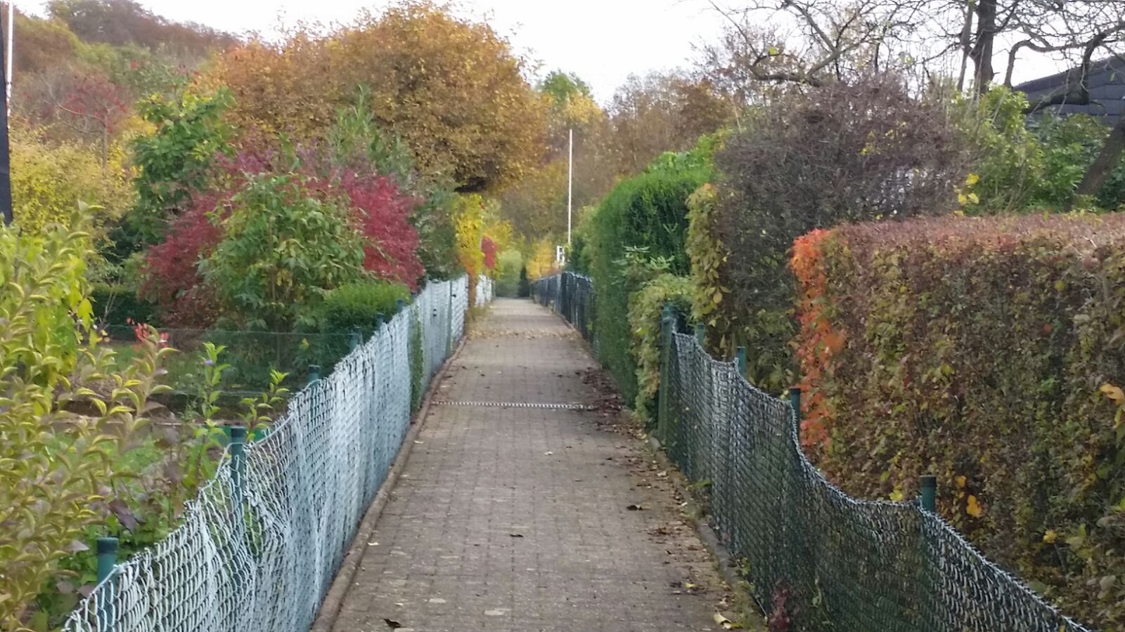 unsere Gartenanlage kgvbilveringseneviserlohns Webseite!