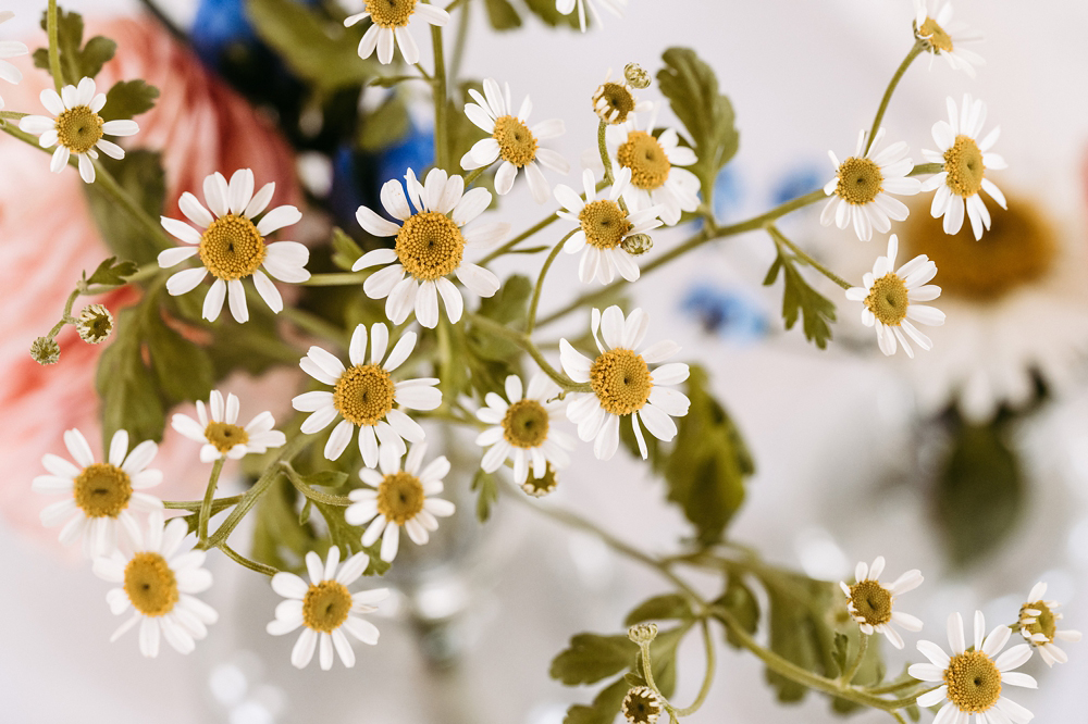 Nahaufnahme der Menükarten, die im floralen Design perfekt auf das bunte Farbkonzept abgestimmt sind.