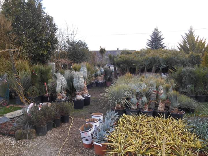 Visiter Le Jardin Des 4 Saisons Pepinieriste Dans Le Loiret A Bazoches Les Gallerandes Site Le Jardin Des 4 Saisons