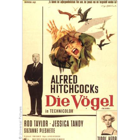 Die Vögel