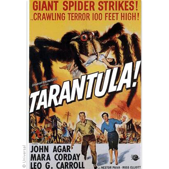 Tarantula