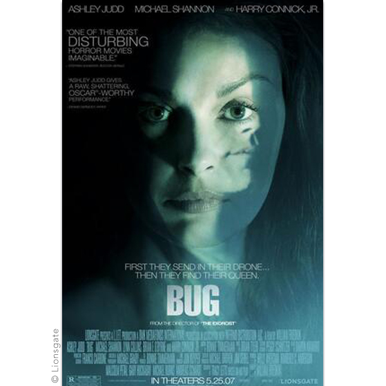 Bug