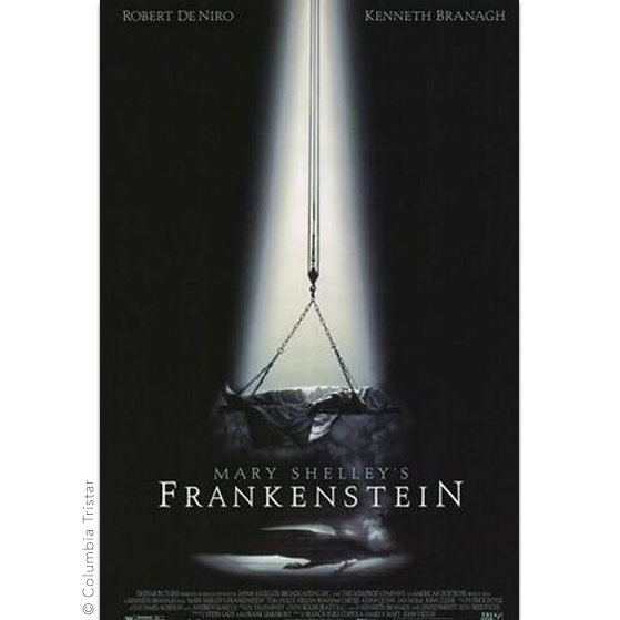 Mary Shelley’s Frankenstein