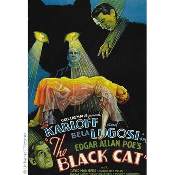 Die schwarze Katze
