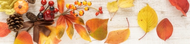 人を育てる会社たれ ― 評価制度から始まる管理職育成と組織づくり