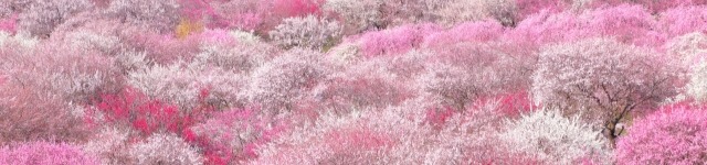 「管理職としての公正な人事評価への心構え」
