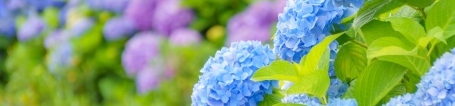 「部下の個性に合わせた柔軟な育成計画を！」