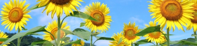 『気にかけられている安心感』が部下定着への第一歩～