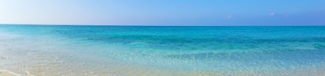 賞与に込めた想いをどのように社員に届けるか