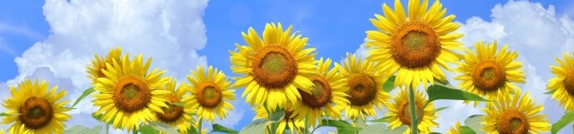 フィードバックができない背景を探る