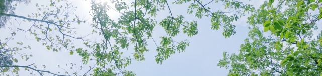 メリハリある賞与支給を実現するためにやるべきこととは？