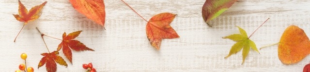 １０月改正　育児・介護休業法への対応はお済みですか？