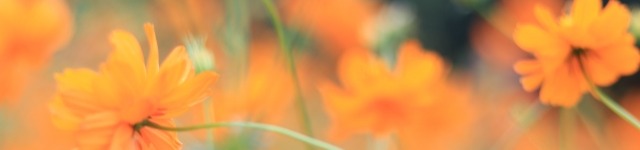 「最低賃金付近で働く人たち」とはどのような人材か