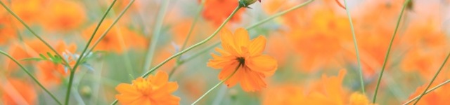 最低賃金改定が突きつける現実～“中小企業だから”、“地方だから”は、もはや通用しない局面に～