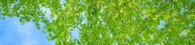 「休むことの価値を再考する：長期休暇が生む効果とは？」