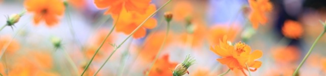 資格取得の支援策を採用・定着、能力開発に有効活用する