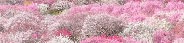 「2025年4月改正育児・介護休業法～養育支援、介護離職防止への取り組みを」