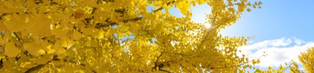 評価項目と着眼点の整理 — 管理職育成のための制度運用の要