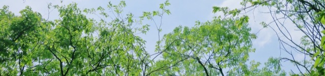 成績評価制度の“ブレ”を防ぐにはどうしたらよいか　― 管理職が平均点に寄せてしまう理由と、その克服 ―