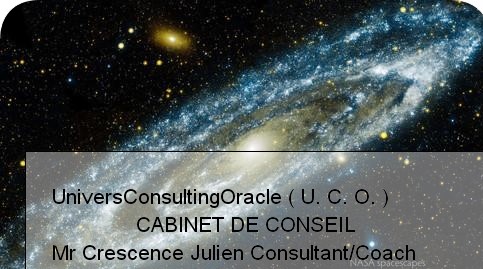 UNIVERS CONSULTING ORACLE