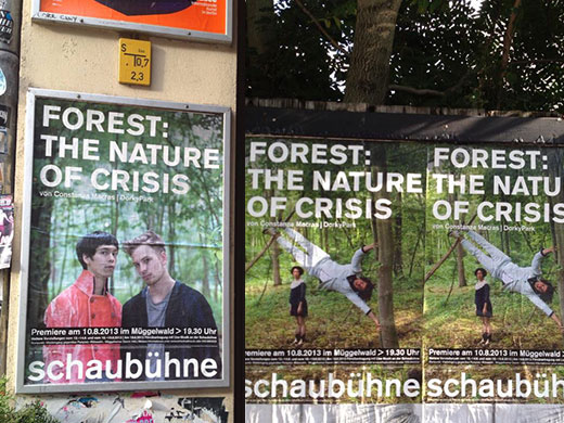 forest the nature of crisis 2013