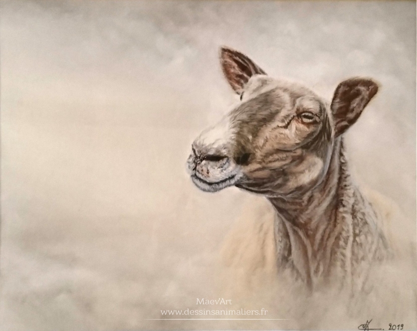 Brebis dans la brume